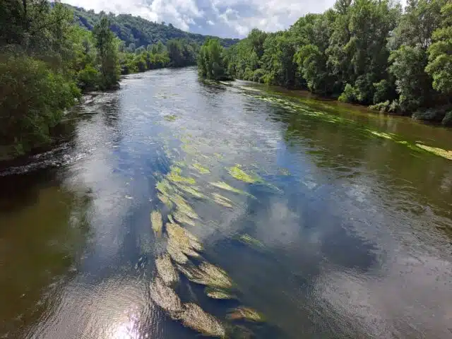 Bord-de-Dordogne