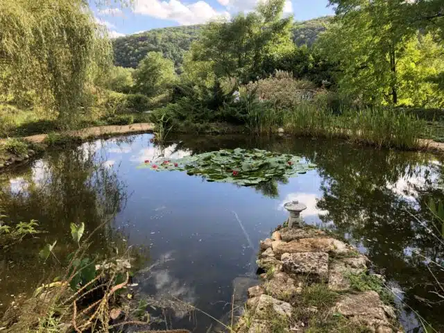 Jardins-d'eau-de Carsac-Périgord