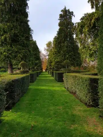 Jardins du Manoir d'Eyrignac-allée